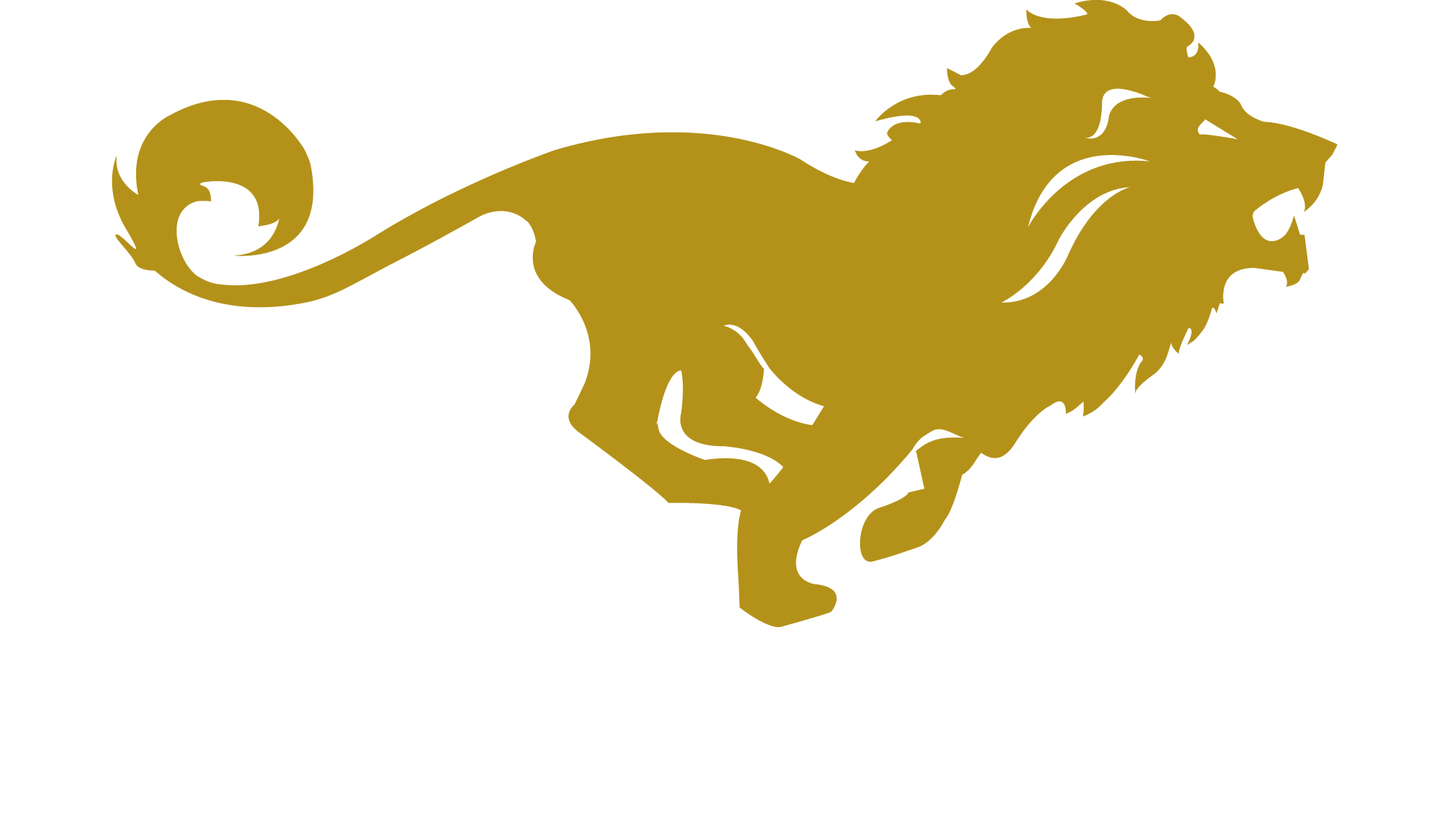 bravestandard